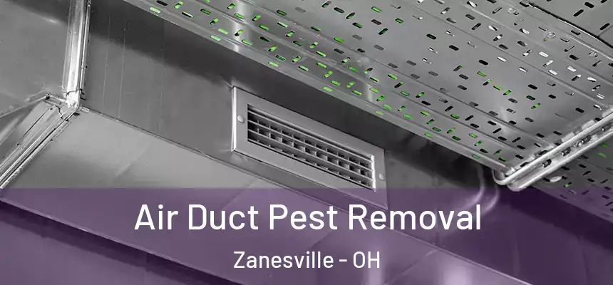  Air Duct Pest Removal Zanesville - OH