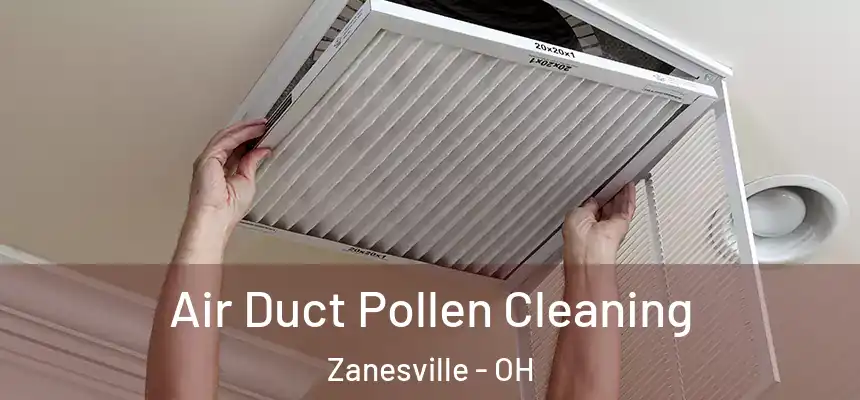  Air Duct Pollen Cleaning Zanesville - OH