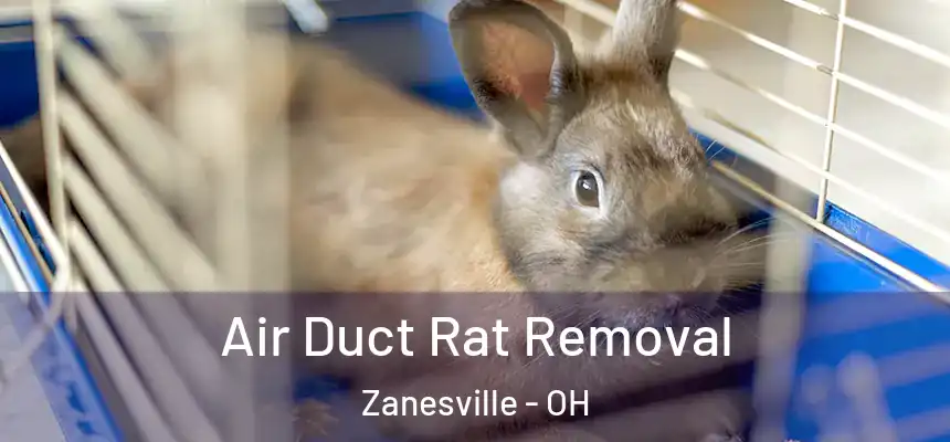  Air Duct Rat Removal Zanesville - OH