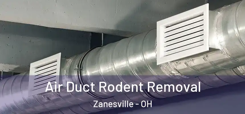 Air Duct Rodent Removal Zanesville - OH