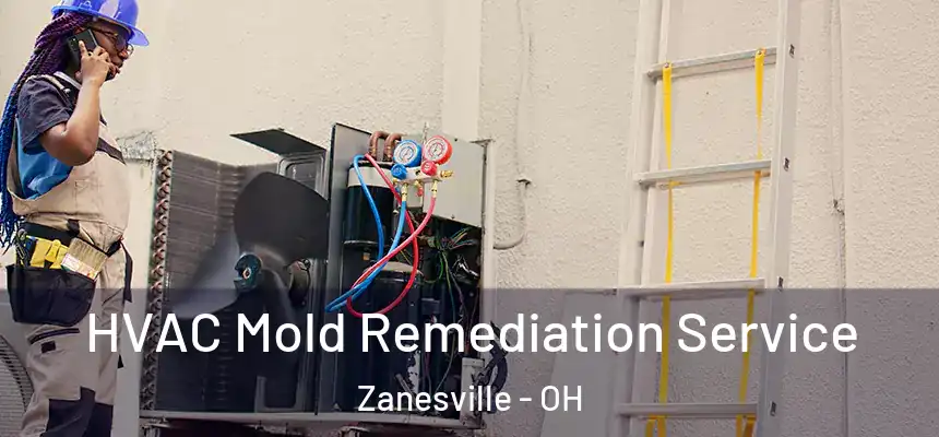 HVAC Mold Remediation Service Zanesville - OH