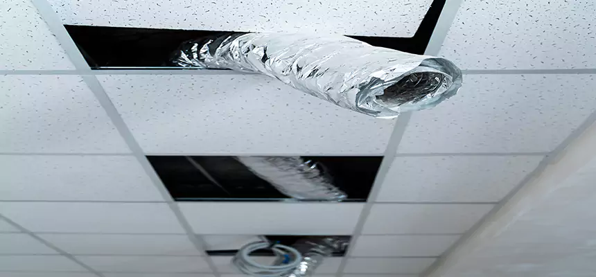 Our Air Duct Pet Hair Removal Services in Zanesville, OH