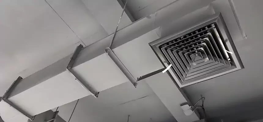 Our Pest Removal From Ducts Services in Zanesville, OH