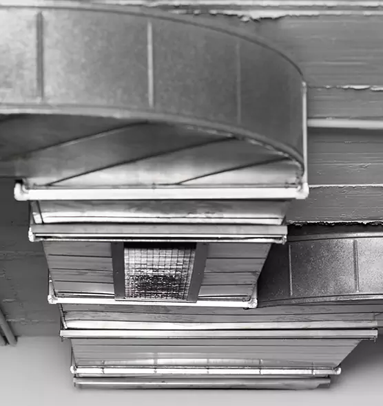 Professional Air Duct Pet Hair Removal in Zanesville, OH