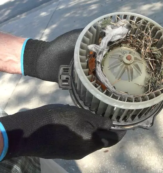 About Air Duct Rat Removal in Zanesville, OH