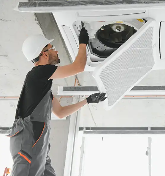 About Air Duct Rodent Removal in Zanesville, OH