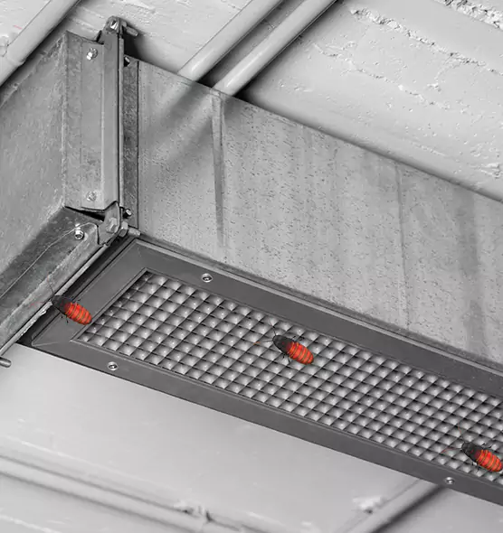 Affordable Insect Removal from Air Ducts in Zanesville, OH